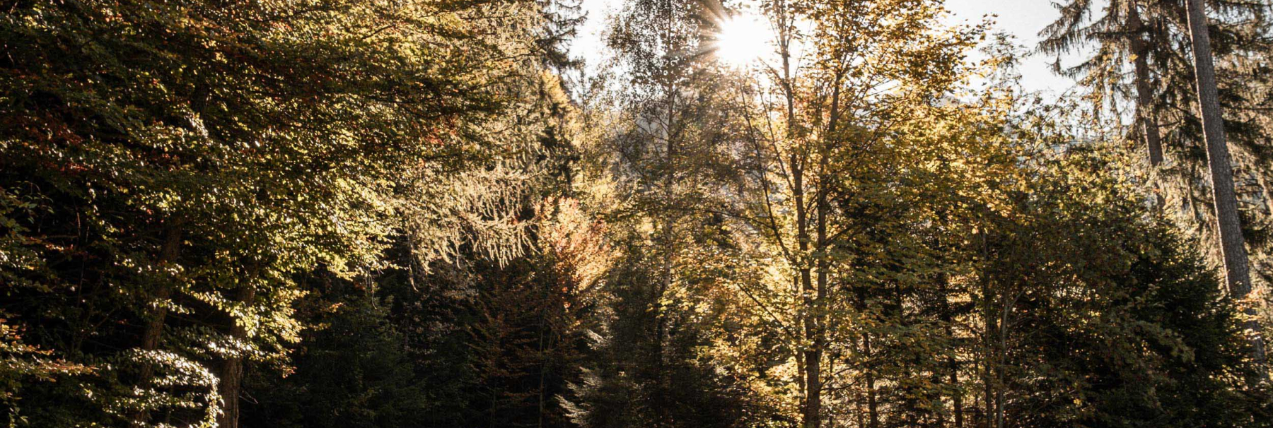Trimmis Herbst-9849
